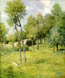 Mittsommerlandschaft